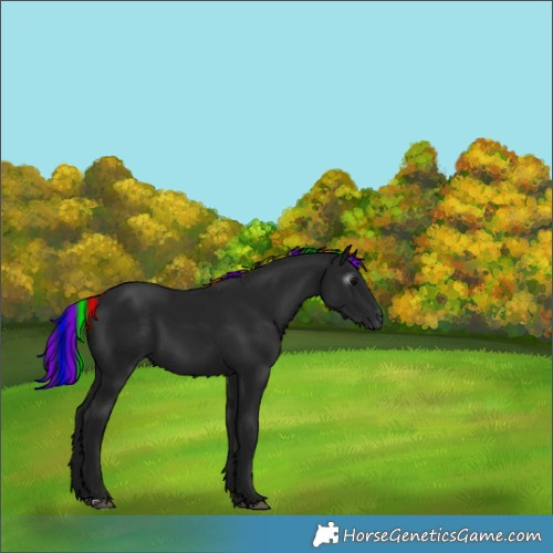 Horse Color:Gray Painted Black 