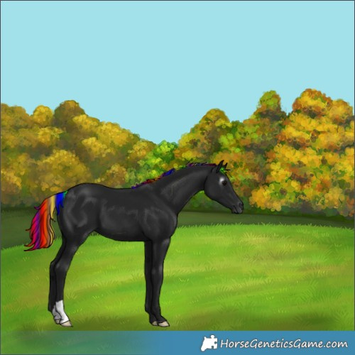 Horse Color:Gray Painted Black
