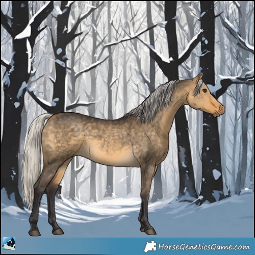 Horse Color:Silver Buckskin Dun