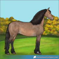 Horse Color:Brown Dun