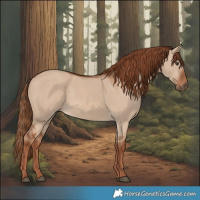 Horse Color:Red Dun 