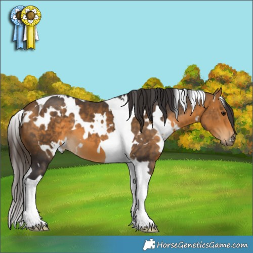 Horse Color:White Spotted Buckskin Tobiano 