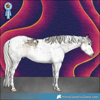 Horse Color:Gray White Spotted Silver Buckskin Splash Tobiano Varnish 