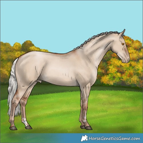 Horse Color:Silver Grullo Pearl 