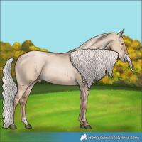 Horse Color:Silver Grullo Pearl 