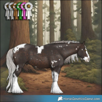 Horse Color:White Spotted Silver Brown Splash Tobiano 