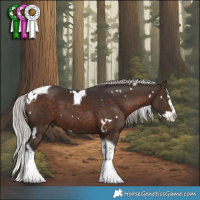 Horse Color:White Spotted Silver Brown Splash Tobiano 