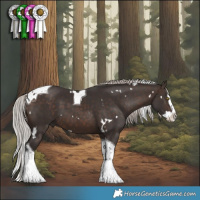 Horse Color:White Spotted Silver Brown Splash Tobiano 