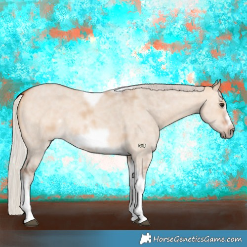 Horse Color:Silver Bay Dun Sabino Tobiano Frame Rabicano 