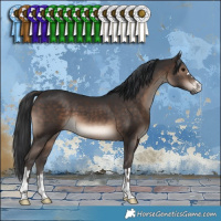 Horse Color:Brown 