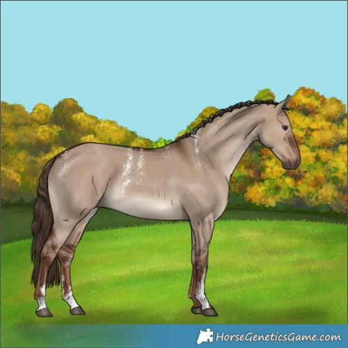 Horse Color:Powder White White Spotted Liver Red Dun 
