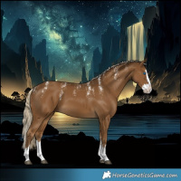 Horse Color:Powder White Chocolate Palomino Splash