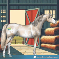 Horse Color:White Spotted Chocolate Palomino Pearl Dun Mushroom 