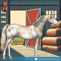 Horse Color:White Spotted Chocolate Palomino Snowdrop Dun Mushroom 