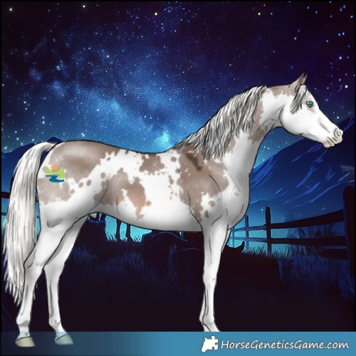 Horse Color:White Spotted Liver Red Dun Mushroom Splash 