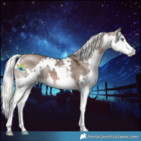 Horse Color:White Spotted Liver Red Dun Mushroom Splash 