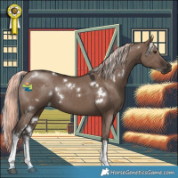 Horse Color:White Spotted Liver Red Dun Mushroom 