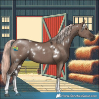Horse Color:White Spotted Liver Red Dun Mushroom 