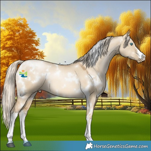 Horse Color:White Spotted Chocolate Palomino Snowdrop Dun Mushroom 