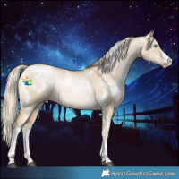 Horse Color:White Spotted Chocolate Palomino Pearl Dun Mushroom 