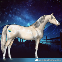Horse Color:White Spotted Chocolate Palomino Snowdrop Dun Mushroom 