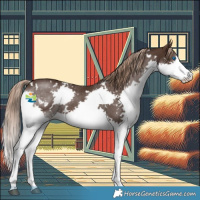 Horse Color:White Spotted Liver Chestnut Splash 