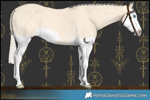 Horse Color:Cremello Splash  and Cremello Splash 