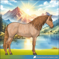 Horse Color:Red Roan 