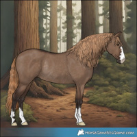 Horse Color:Liver Red Dun Rabicano 