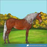 Horse Color:Silver Brown