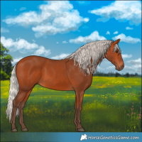 Horse Color:Silver Bay 