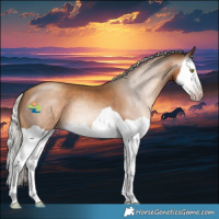 Horse Color:Gray Silver Amber Champagne Splash 