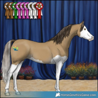 Horse Color:Classic Cream Champagne Splash