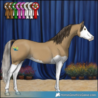 Horse Color:Classic Cream Champagne Splash 