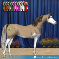 Horse Color:Classic Cream Champagne Splash 