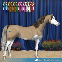 Horse Color:Classic Cream Champagne Splash 