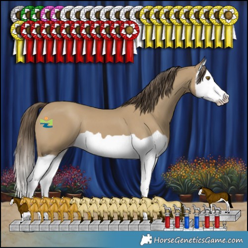 Horse Color:Classic Cream Champagne Splash 