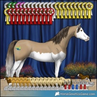 Horse Color:Classic Cream Champagne Splash 