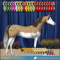 Horse Color:Classic Cream Champagne Splash