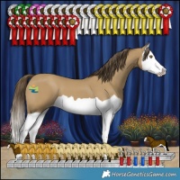 Horse Color:Classic Cream Champagne Splash 