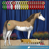 Horse Color:Classic Cream Champagne Splash 