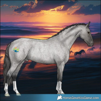 Horse Color:Grullo Roan Appaloosa Rabicano 