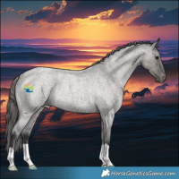 Horse Color:Grullo Roan Appaloosa Rabicano