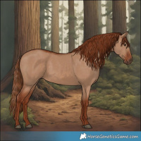 Horse Color:Red Dun Rabicano 