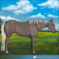 Horse Color:Silver Black 
