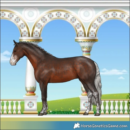 Horse Color:Silver Brown Sabino 