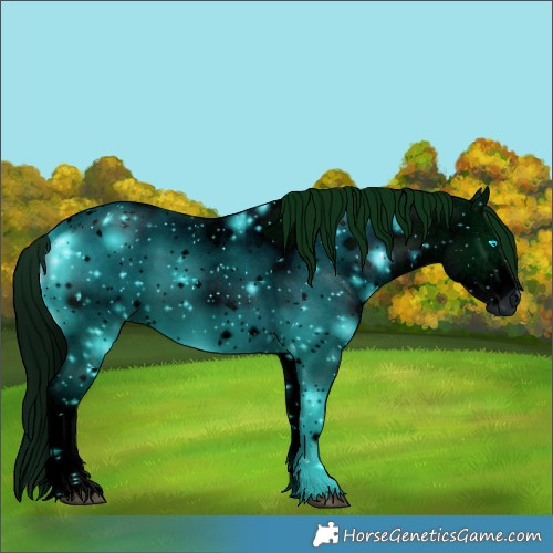 Horse Color:ERROR: UNKNOWN ANOMALY