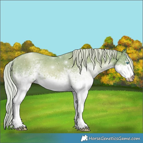 Horse Color:Gray Watercolor White Spotted Silver Smoky Black Pearl 