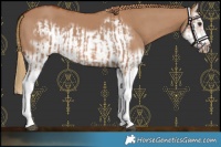 Horse Color:Red Dun Splash  and Red Dun Splash Frame 