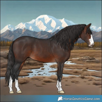 Horse Color:Brown 